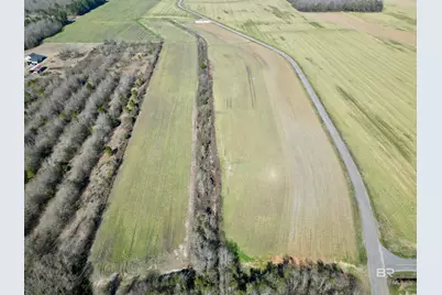 7 Cowpen Creek Road, Atmore, AL 36502 - Photo 9