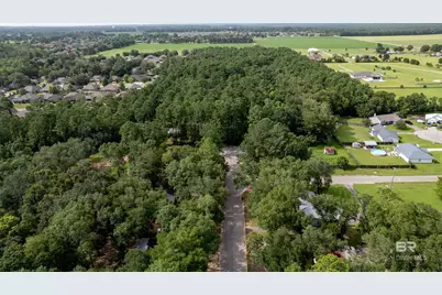 Lot 12 Caney Creek Drive, Daphne, AL 36526 - Photo 3