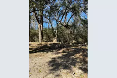 13257 County Road 138, Bay Minette, AL 36507 - Photo 3