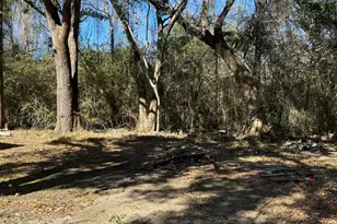 13257 Co Rd 138, Bay Minette, AL 36507 - Photo 3