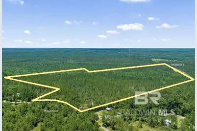 51290 Propst Road, Bay Minette, AL 36507 - Photo 1