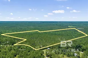 51290 Propst Rd, Bay Minette, AL 36507 - Photo 1