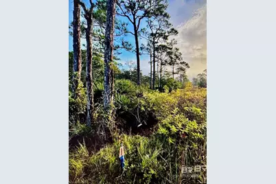 0 Gulf Crest Drive, Gulf Shores, AL 36542 - Photo 1