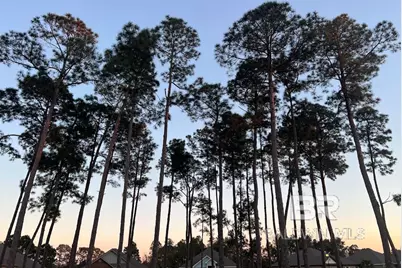 2225 Hogan Drive, Gulf Shores, AL 36542 - Photo 35