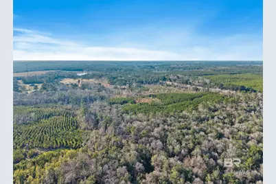 55750 Lottie Road, Perdido, AL 36562 - Photo 3