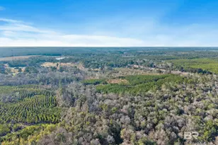 55750 Lottie Rd, Perdido, AL 36562 - Photo 3