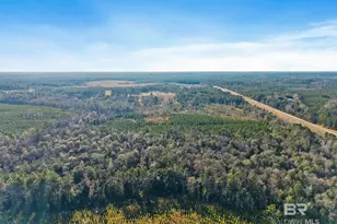 55750 Lottie Rd, Perdido, AL 36562 - Photo 5