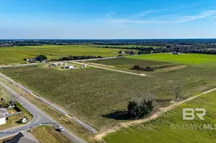 20345 Co Rd 71, Robertsdale, AL 36580 - Photo 35