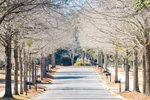 215 Wentworth St, Fairhope, AL 36532 - Photo 79