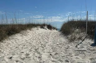 14100 River Rd, Perdido Key, FL 32507 - Photo 15