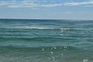 14100 River Rd, Perdido Key, FL 32507 - Photo 23