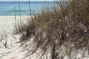 14100 River Rd, Perdido Key, FL 32507 - Photo 21