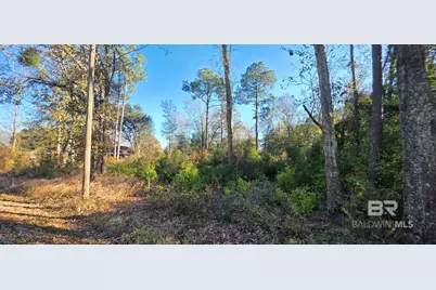 0 2nd Avenue, Foley, AL 36535 - Photo 3