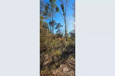 0 2nd Avenue, Foley, AL 36535 - Photo 5