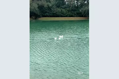 817 Vulpes Avenue, Fairhope, AL 36532 - Photo 41