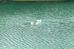 817 Vulpes Ave, Fairhope, AL 36532 - Photo 41