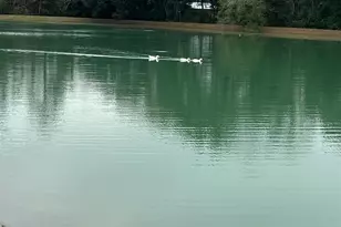 817 Vulpes Ave, Fairhope, AL 36532 - Photo 39