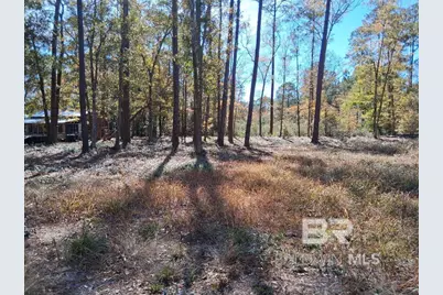 10116 Bayhaven Drive, Fairhope, AL 36532 - Photo 11