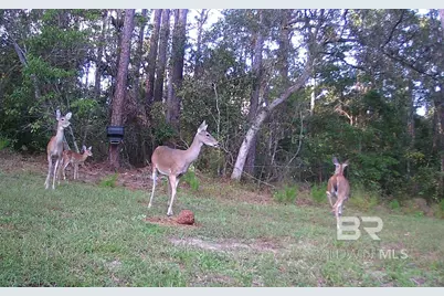 22929 US Highway 98, Foley, AL 36530 - Photo 53