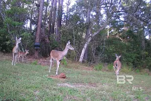 22929 US Hwy 98, Foley, AL 36530 - Photo 53