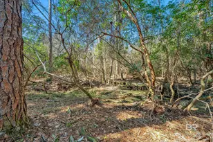 22929 US Hwy 98, Foley, AL 36530 - Photo 51