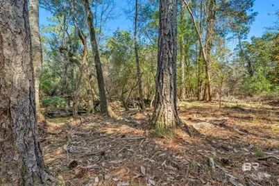 22929 US Highway 98, Foley, AL 36530 - Photo 49