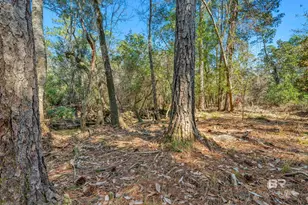 22929 US Hwy 98, Foley, AL 36530 - Photo 49