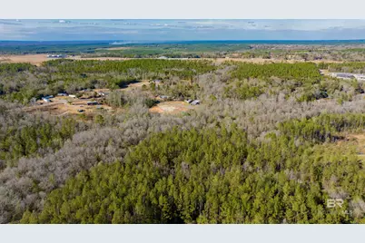 12646 Tall Pine Road, Bay Minette, AL 36507 - Photo 7