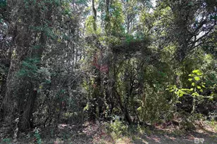 108 Glen Hardie Dr, Fairhope, AL 36532 - Photo 1