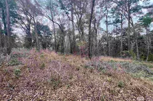 0 Stanton Rd, Spanish Fort, AL 36527 - Photo 1