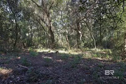 13555 Nolte Creek Drive, Foley, AL 36535 - Photo 13