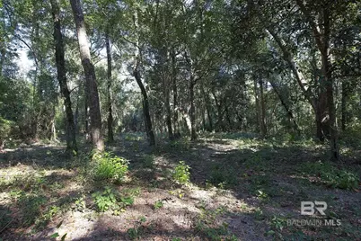 13555 Nolte Creek Drive, Foley, AL 36535 - Photo 9