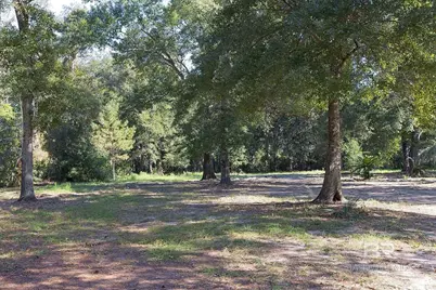 13555 Nolte Creek Drive, Foley, AL 36535 - Photo 3