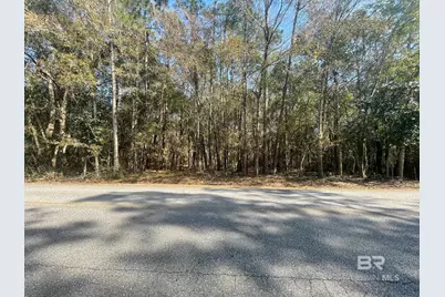 0 N Juniper Street, Foley, AL 36535 - Photo 5