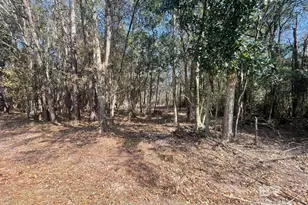 0 N Juniper St, Foley, AL 36535 - Photo 1