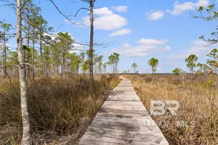 2342 Cardinal Dr, Gulf Shores, AL 37542 - Photo 41