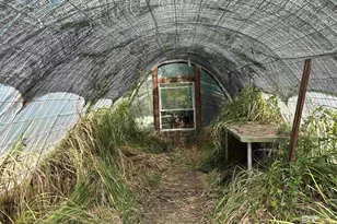 24691 Co Rd 87, Robertsdale, AL 36567 - Photo 13