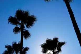 2200 W 2nd St, Gulf Shores, AL 36542 - Photo 31