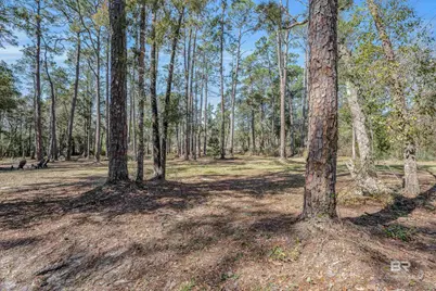 13595 Douglas Lane, Foley, AL 36535 - Photo 7