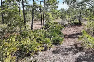 9351 Caravelle Ln, Gulf Shores, AL 36542 - Photo 47