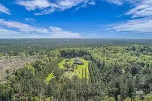 18255 Cactus Ct, Elberta, AL 39430 - Photo 45