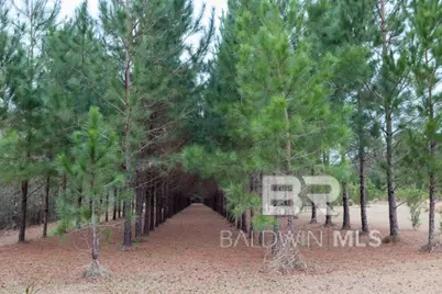 18255 Cactus Court, Elberta, AL 39430 - Photo 41