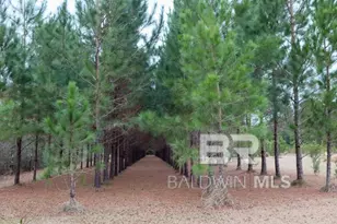 18255 Cactus Ct, Elberta, AL 39430 - Photo 41