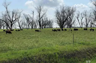 10588 Dunmore Dr, Daphne, AL 36526 - Photo 17