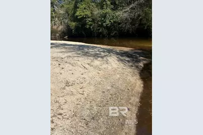 0 Wolf Log Road, Flomaton, AL 36441 - Photo 3