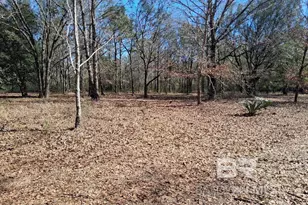 32799 Rustic Bnd, Robertsdale, AL 36567 - Photo 9