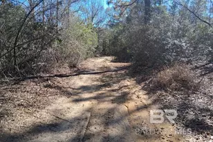 32799 Rustic Bnd, Robertsdale, AL 36567 - Photo 25