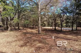 32799 Rustic Bnd, Robertsdale, AL 36567 - Photo 17