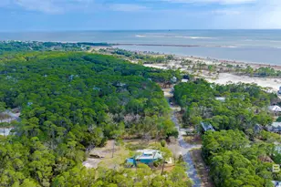 166 Orleans Dr, Dauphin Island, AL 36528 - Photo 53