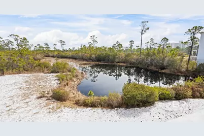 24193 Pepper Lane, Orange Beach, AL 36561 - Photo 21